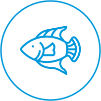 IconFish